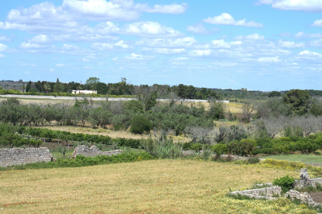 Le paysage vu des remparts de la forteresse d'Acaya